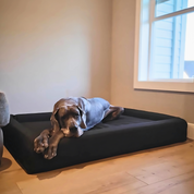 Gray great dane on a modular dog bed with bolster 