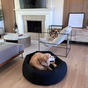 Older Golden Retriever comfortably  laying in a round Den Dog Bed in a modern living room