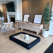 Dog lying on a large black dog bed with bolsters in a modern living room.