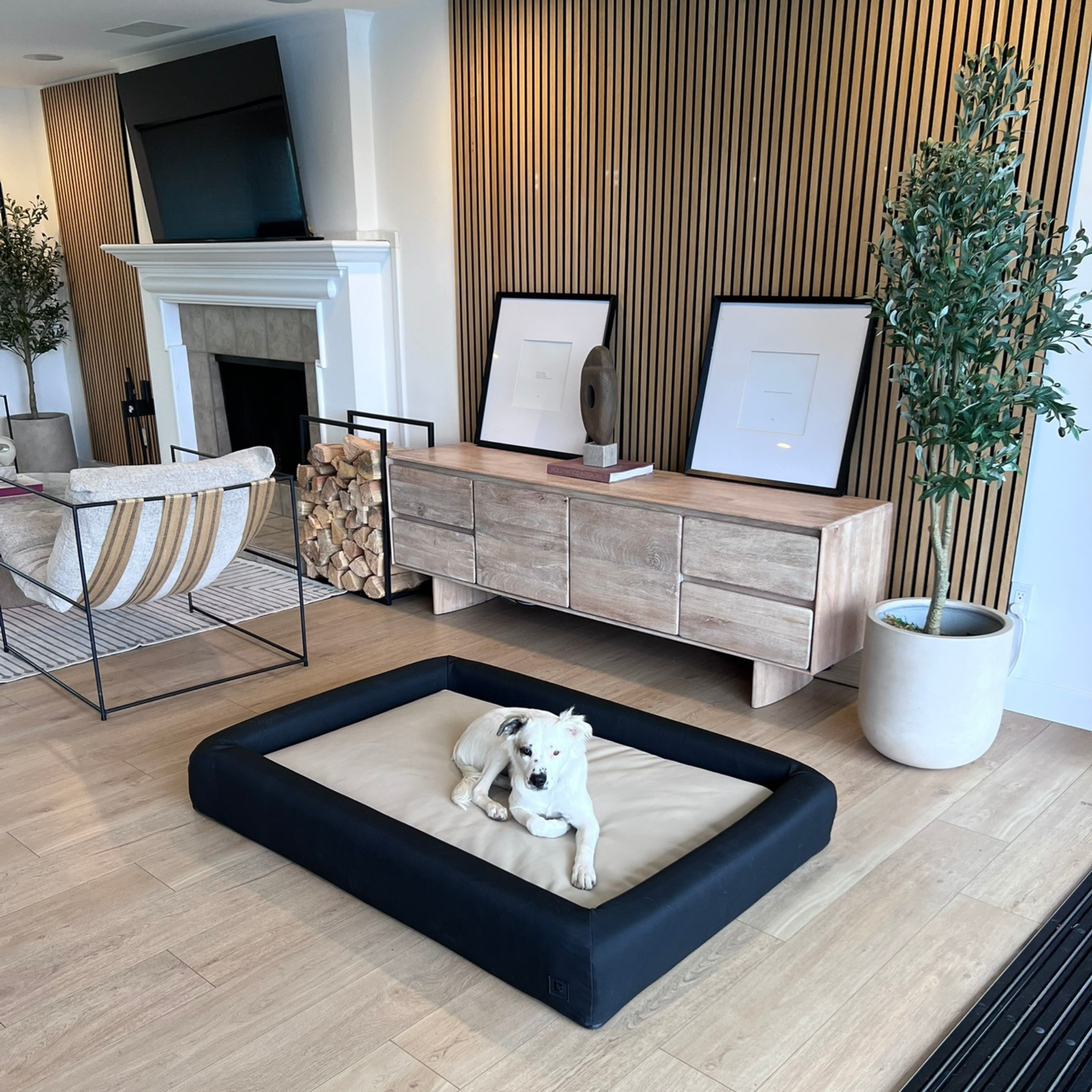 Dog lying on a large black dog bed with bolsters in a modern living room.