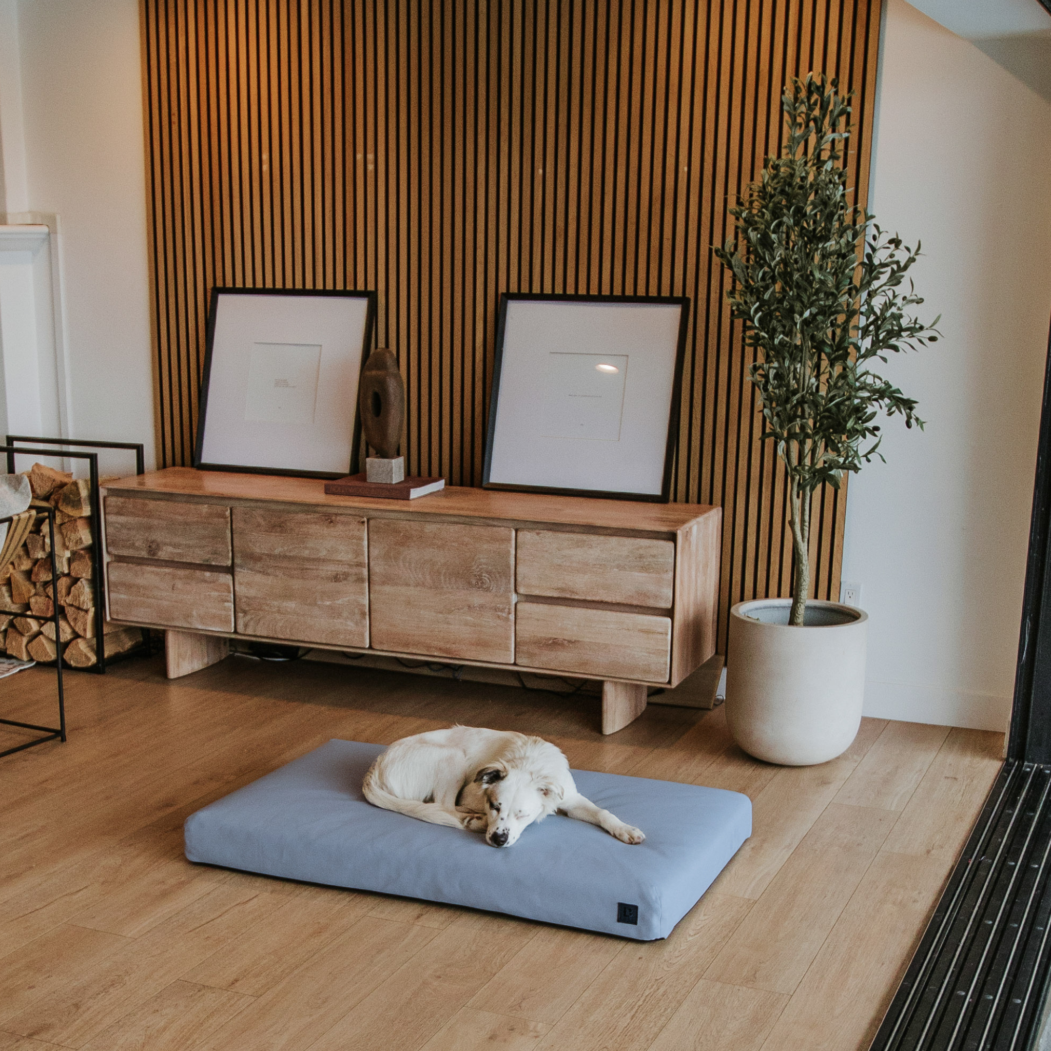 dog on a gray dog bed
