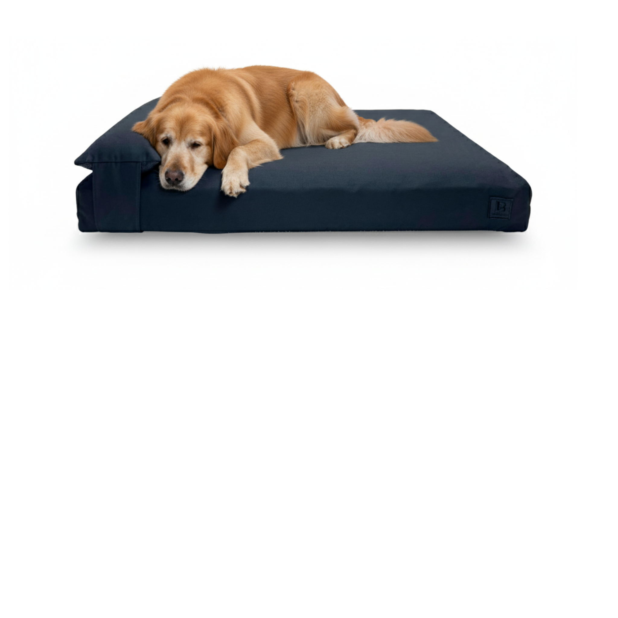pillow_dog.png