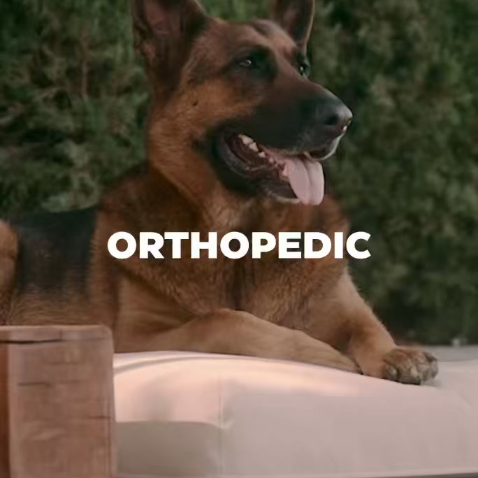 Waterproof orthopedic dog beds with washable covers for large breed dogs