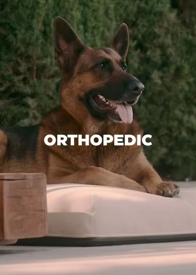 The Beast - UltraTough Orthopedic Dog Bed