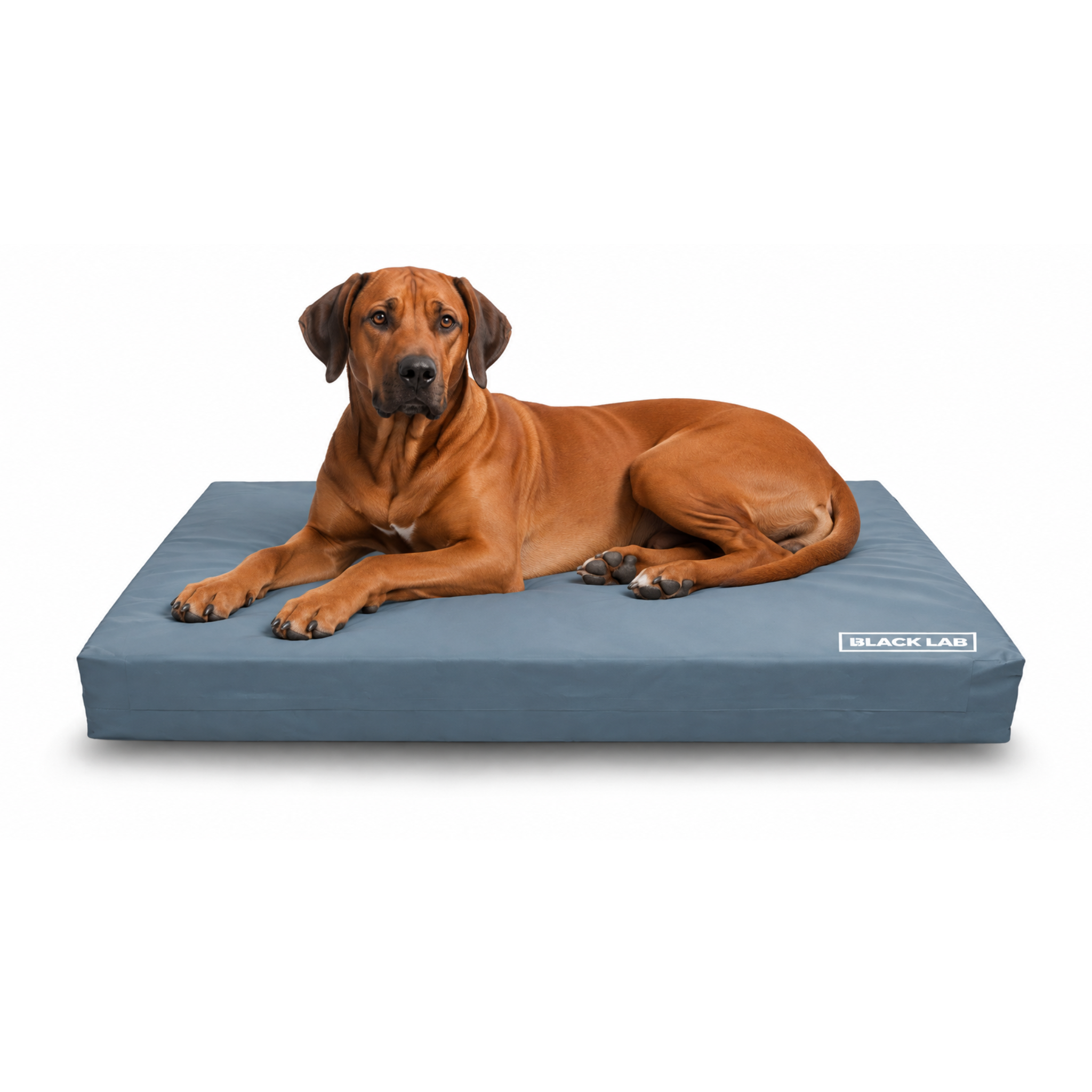 ridgebackutilitybed_fa612193-e51b-4a5a-971b-37fce925ba6b.png