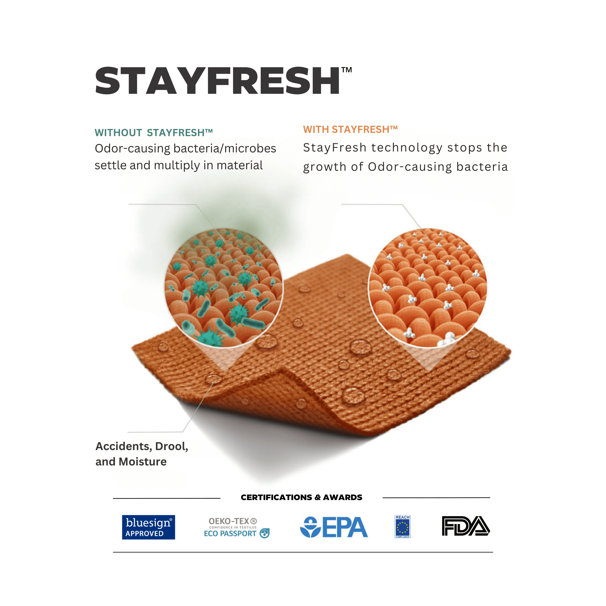 stayfresh2_1.png