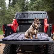 Trailblazer Travel Dog Bed