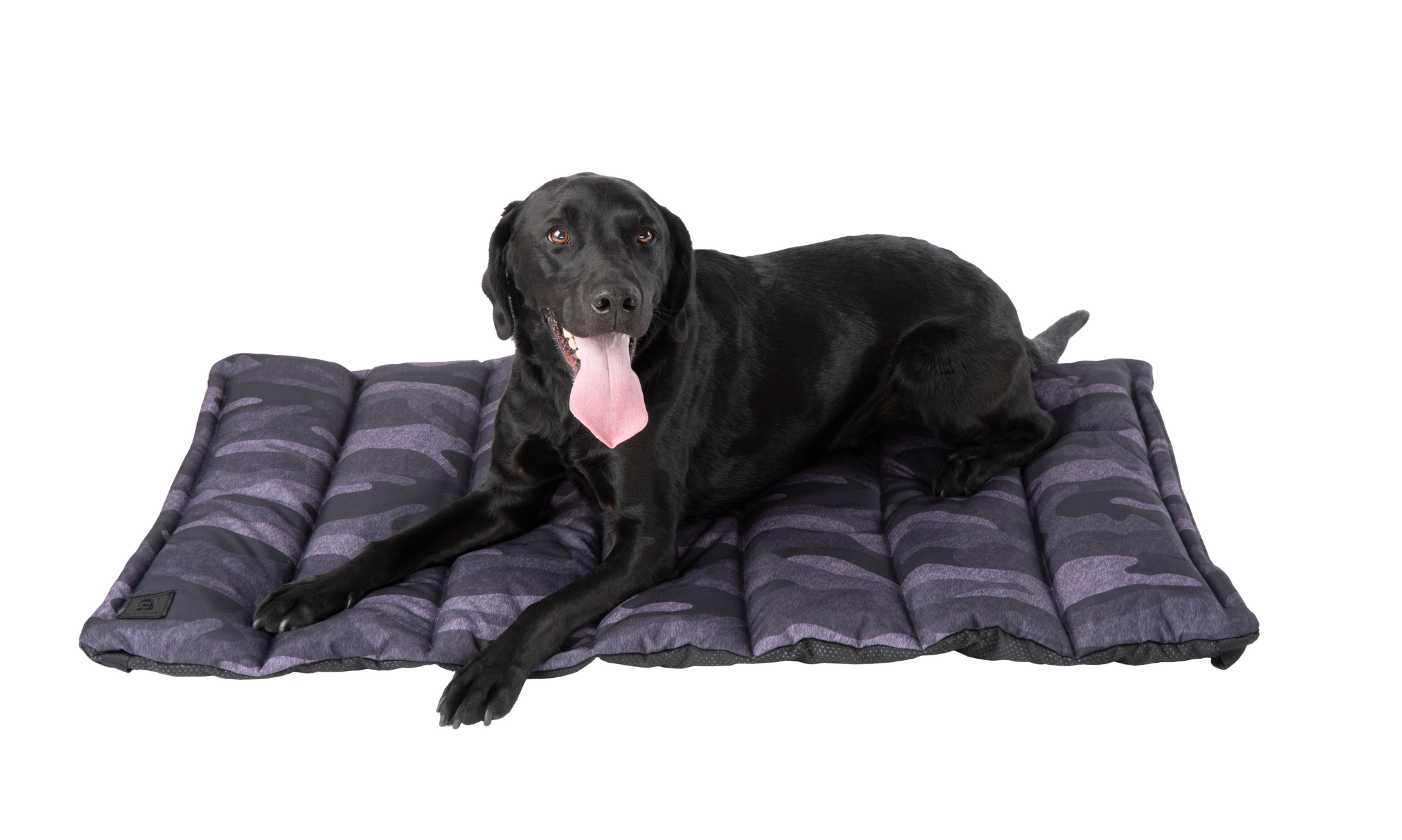 Trailblazer Travel Dog Bed Dark Camo