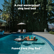 Dog lying on a floating dog bed in a pool with text about a waterproof dog bed.